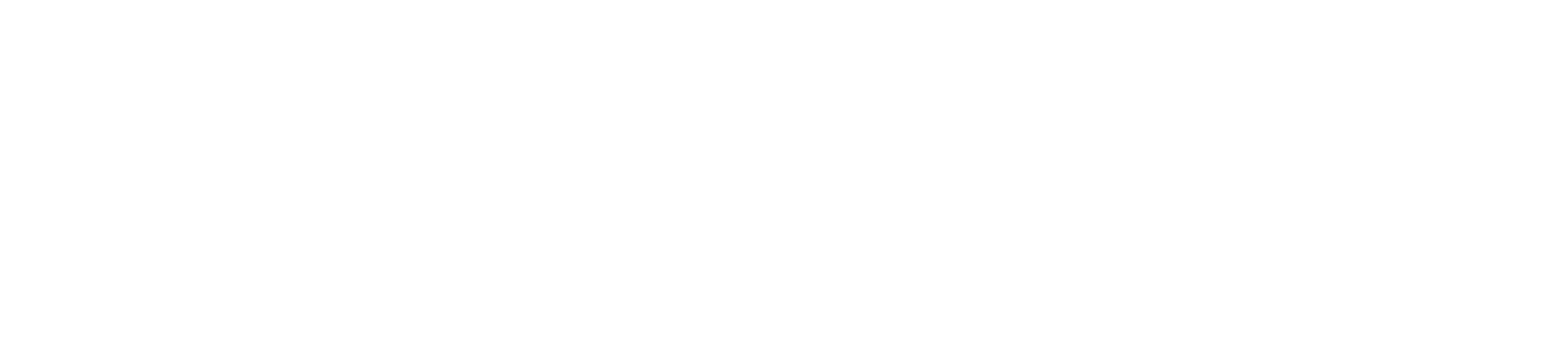Punto IT — Partner Tecnológico